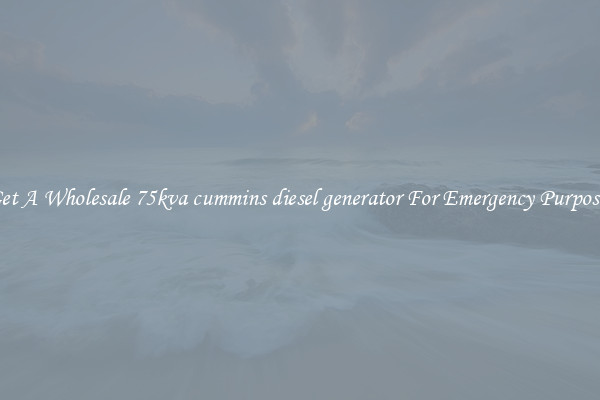 Get A Wholesale 75kva cummins diesel generator For Emergency Purposes