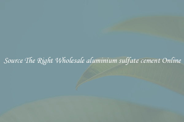 Source The Right Wholesale aluminium sulfate cement Online
