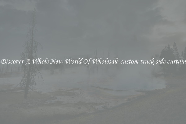 Discover A Whole New World Of Wholesale custom truck side curtain