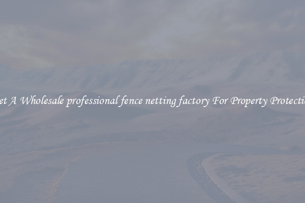 Get A Wholesale professional fence netting factory For Property Protection