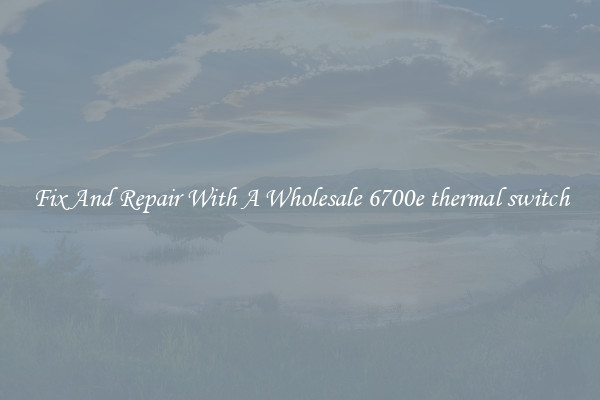 Fix And Repair With A Wholesale 6700e thermal switch