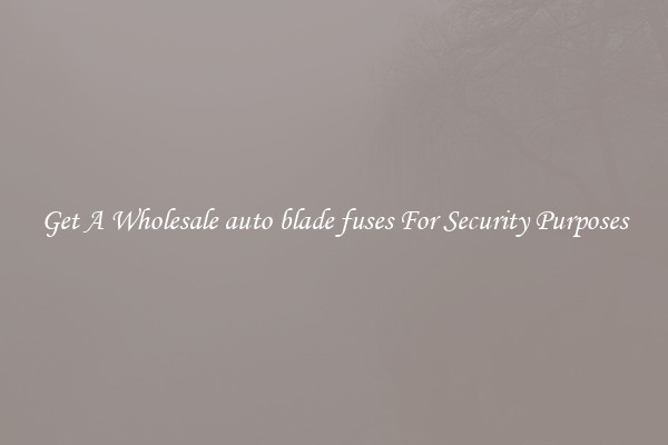 Get A Wholesale auto blade fuses For Security Purposes