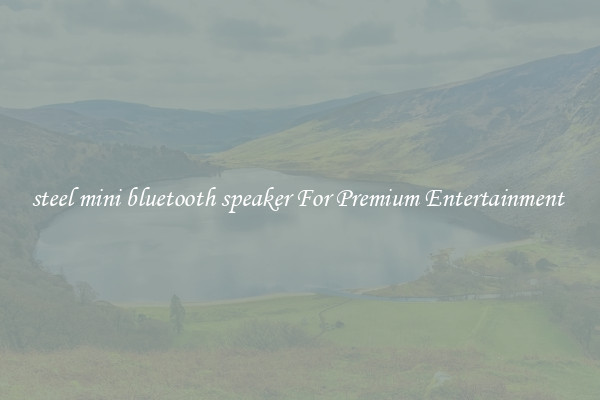 steel mini bluetooth speaker For Premium Entertainment 