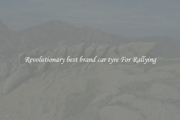 Revolutionary best brand car tyre For Rallying
