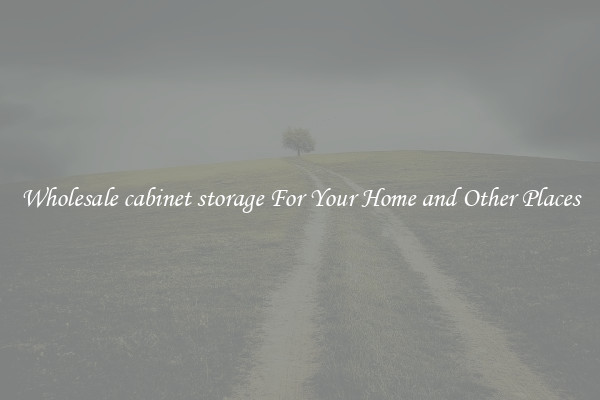 Wholesale cabinet storage For Your Home and Other Places