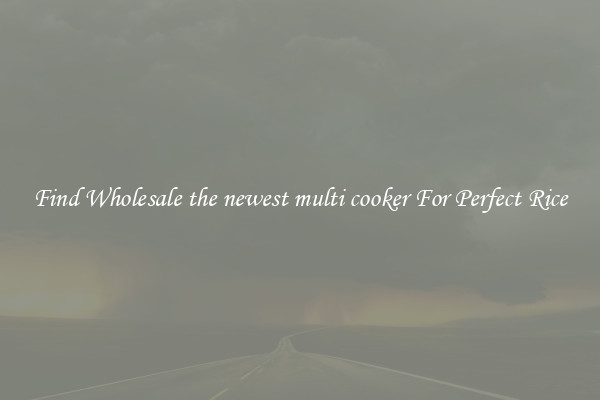 Find Wholesale the newest multi cooker For Perfect Rice