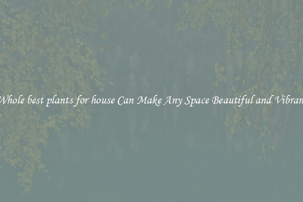 Whole best plants for house Can Make Any Space Beautiful and Vibrant