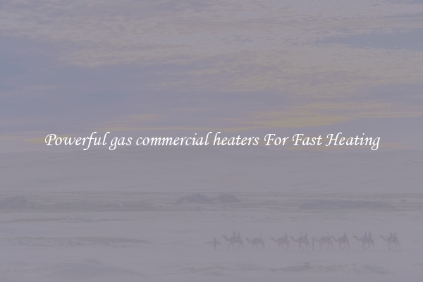 Powerful gas commercial heaters For Fast Heating