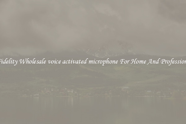 High Fidelity Wholesale voice activated microphone For Home And Professional Use