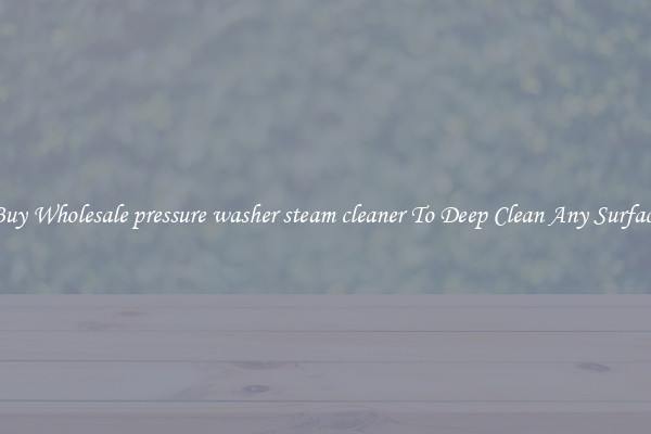 Buy Wholesale pressure washer steam cleaner To Deep Clean Any Surface