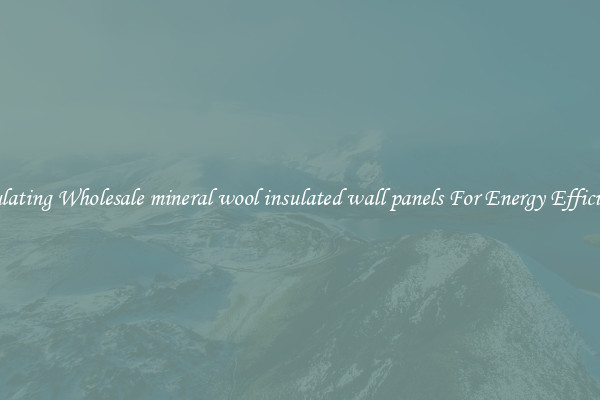 Insulating Wholesale mineral wool insulated wall panels For Energy Efficiency