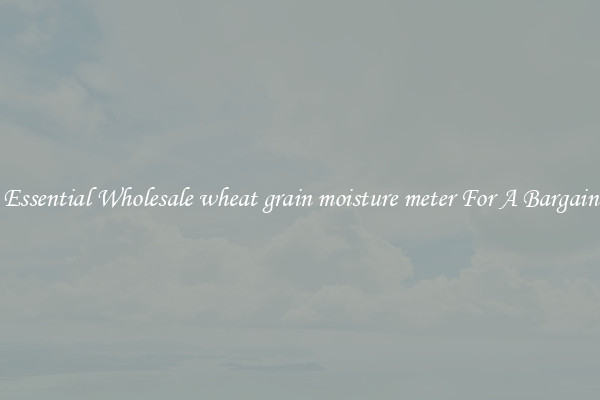 Essential Wholesale wheat grain moisture meter For A Bargain