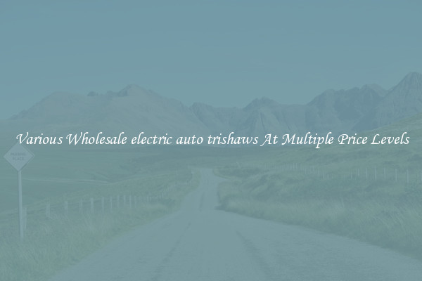 Various Wholesale electric auto trishaws At Multiple Price Levels