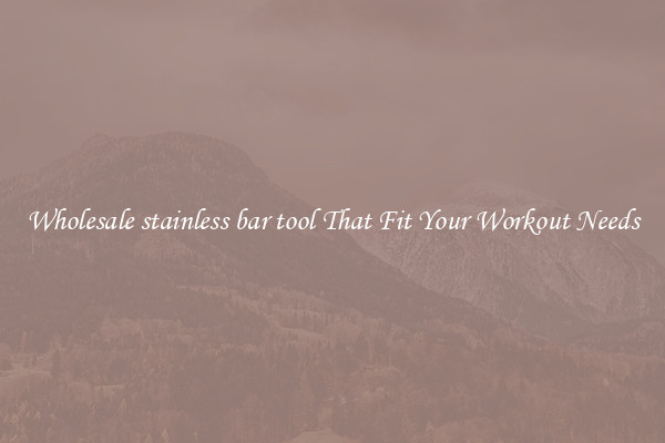 Wholesale stainless bar tool That Fit Your Workout Needs