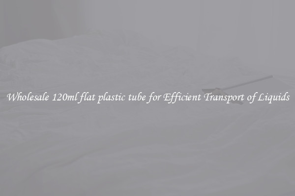 Wholesale 120ml flat plastic tube for Efficient Transport of Liquids