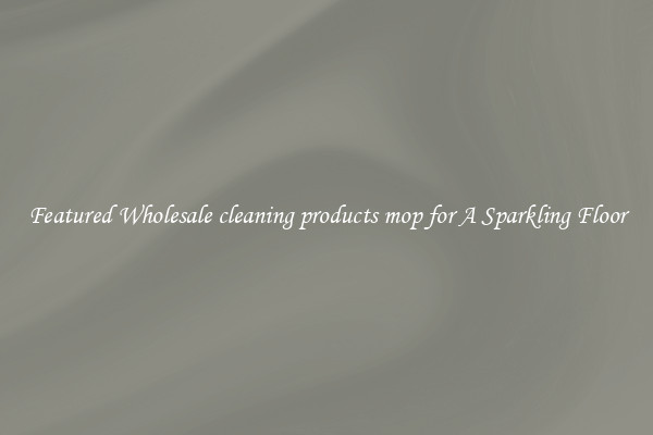 Featured Wholesale cleaning products mop for A Sparkling Floor