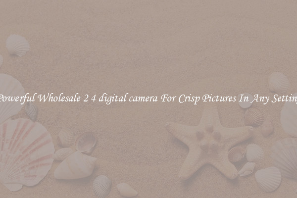 Powerful Wholesale 2 4 digital camera For Crisp Pictures In Any Setting