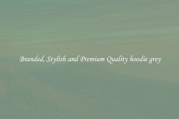 Branded, Stylish and Premium Quality hoodie grey