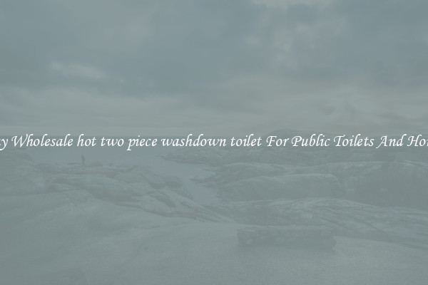 Buy Wholesale hot two piece washdown toilet For Public Toilets And Homes