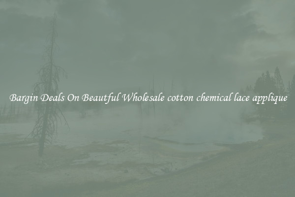 Bargin Deals On Beautful Wholesale cotton chemical lace applique