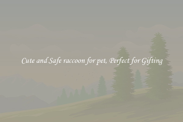 Cute and Safe raccoon for pet, Perfect for Gifting