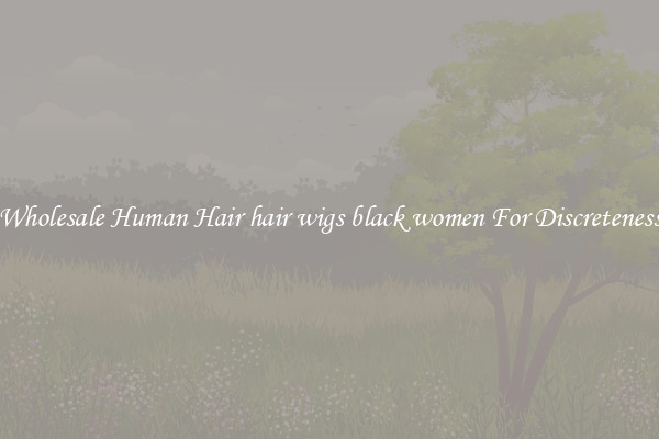 Wholesale Human Hair hair wigs black women For Discreteness
