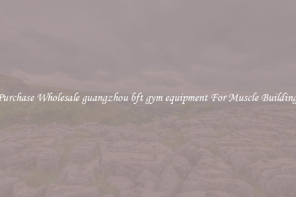 Purchase Wholesale guangzhou bft gym equipment For Muscle Building.